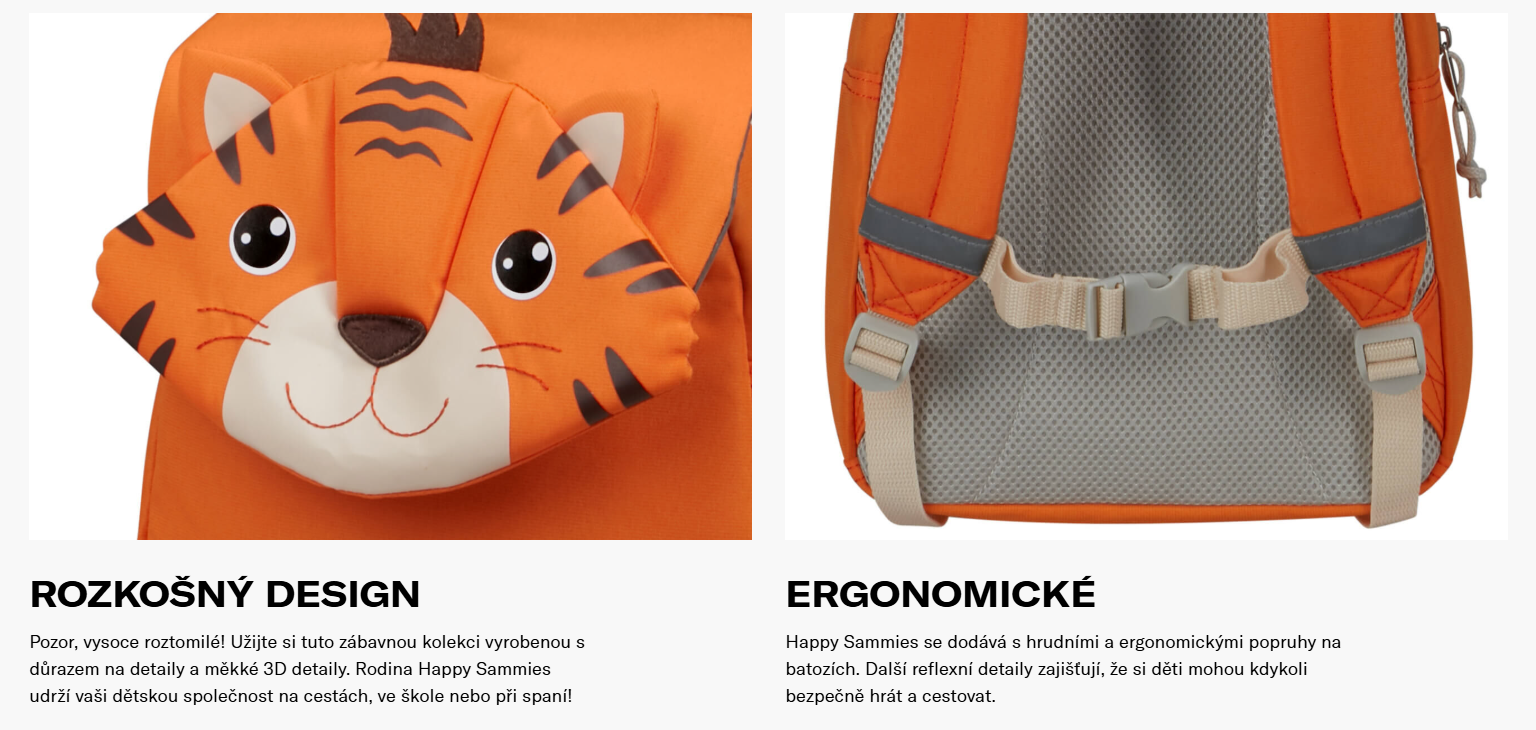 Snímek obrazovky 2025-03-21 133645